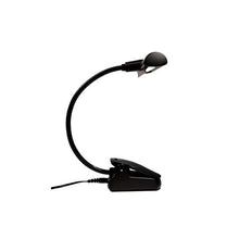 Load image into Gallery viewer, Orchestra LED Light