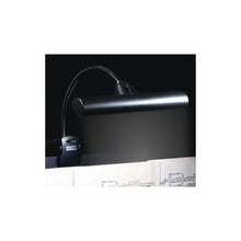 Load image into Gallery viewer, Orchestra LED Light