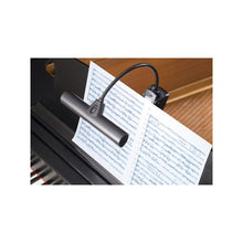 Load image into Gallery viewer, Orchestra LED Light