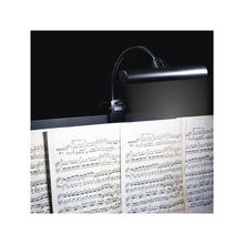 Load image into Gallery viewer, Orchestra LED Light